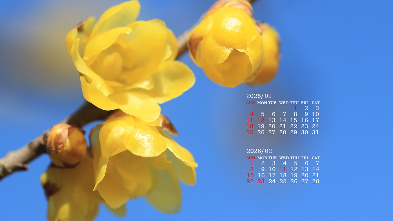 �摜�̏�ŉE�N���b�N���āu�ǎ��ɐݒ�v�A���j���[�ɂȂ��ꍇ�͂�������摜��ۑ����ĉ������B