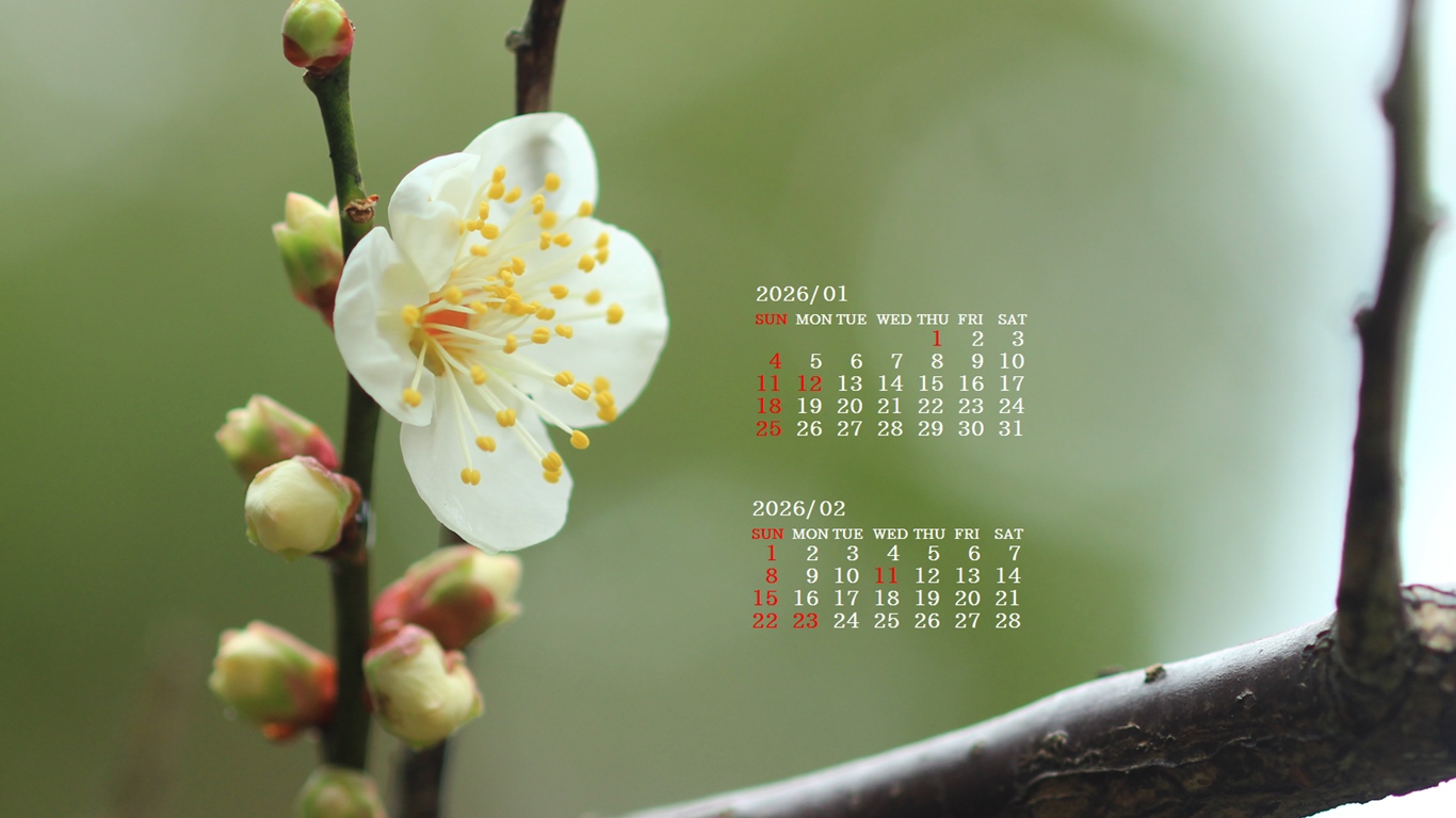 �摜�̏�ŉE�N���b�N���āu�ǎ��ɐݒ�v�A���j���[�ɂȂ��ꍇ�͂�������摜��ۑ����ĉ������B