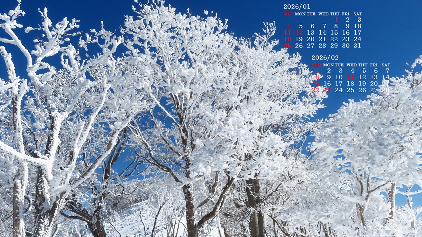 �摜�̏�ŉE�N���b�N���āu�ǎ��ɐݒ�v�A���j���[�ɂȂ��ꍇ�͂�������摜��ۑ����ĉ������B