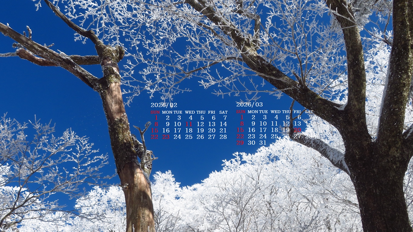 �摜�̏�ŉE�N���b�N���āu�ǎ��ɐݒ�v�A���j���[�ɂȂ��ꍇ�͂�������摜��ۑ����ĉ������B