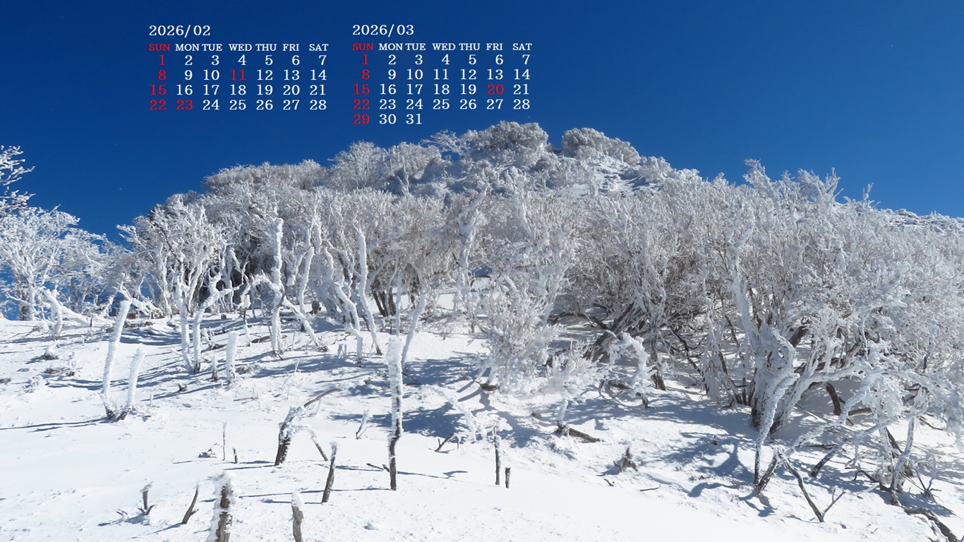 �摜�̏�ŉE�N���b�N���āu�ǎ��ɐݒ�v�A���j���[�ɂȂ��ꍇ�͂�������摜��ۑ����ĉ������B