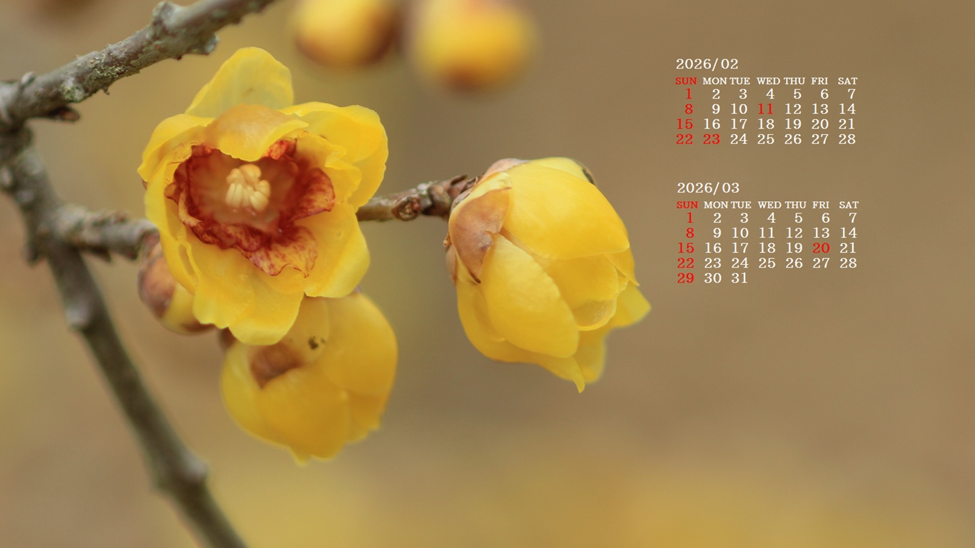 �摜�̏�ŉE�N���b�N���āu�ǎ��ɐݒ�v�A���j���[�ɂȂ��ꍇ�͂�������摜��ۑ����ĉ������B