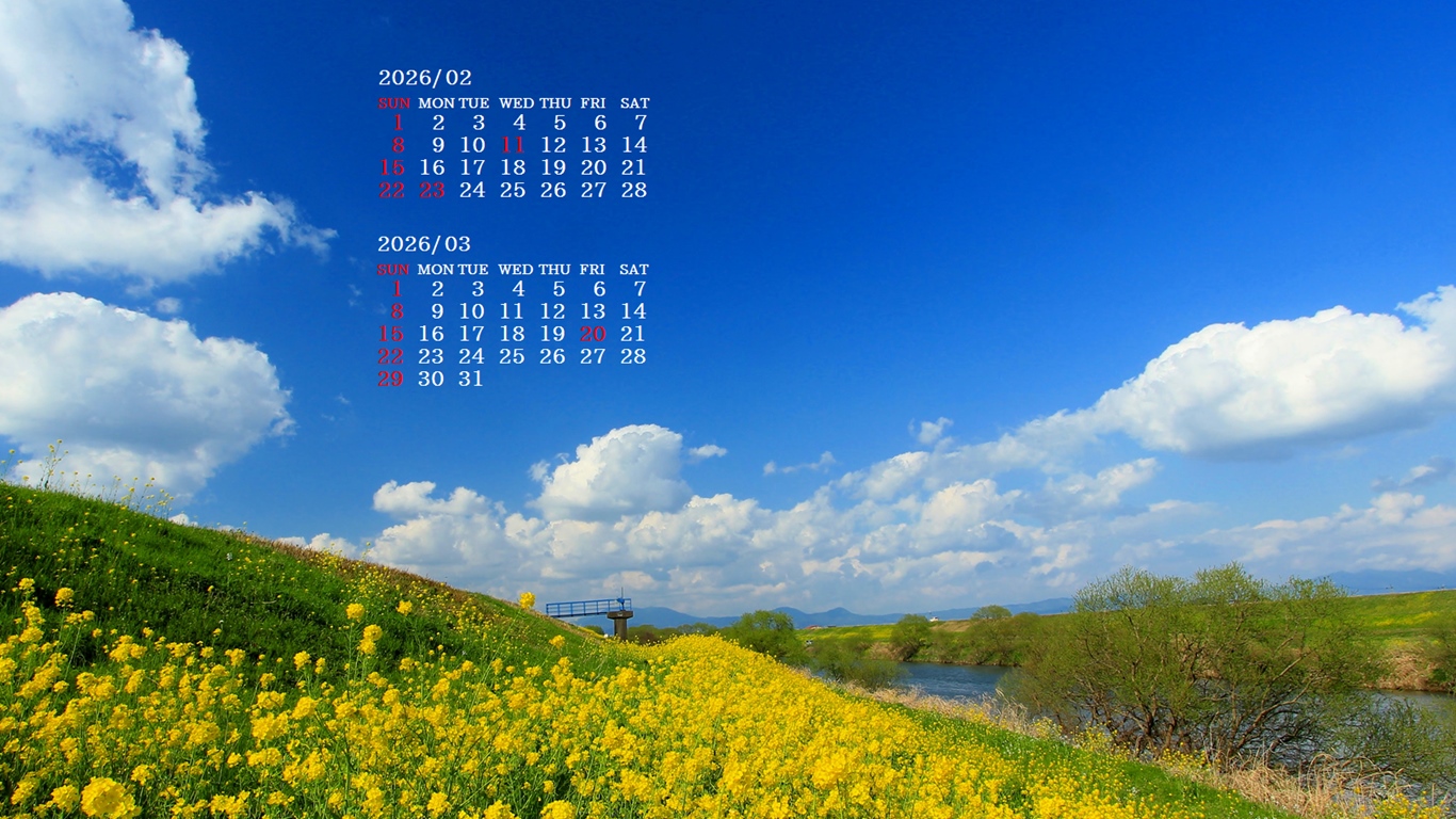 �摜�̏�ŉE�N���b�N���āu�ǎ��ɐݒ�v�A���j���[�ɂȂ��ꍇ�͂�������摜��ۑ����ĉ������B