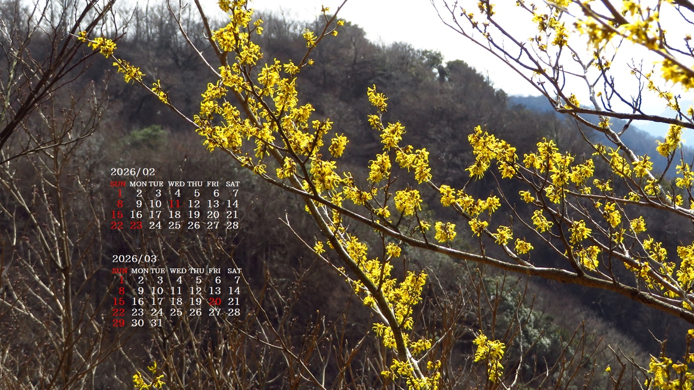 �摜�̏�ŉE�N���b�N���āu�ǎ��ɐݒ�v�A���j���[�ɂȂ��ꍇ�͂�������摜��ۑ����ĉ������B