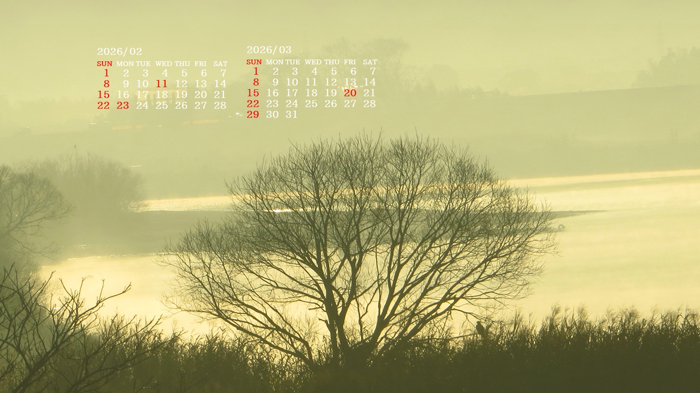 �摜�̏�ŉE�N���b�N���āu�ǎ��ɐݒ�v�A���j���[�ɂȂ��ꍇ�͂�������摜��ۑ����ĉ������B