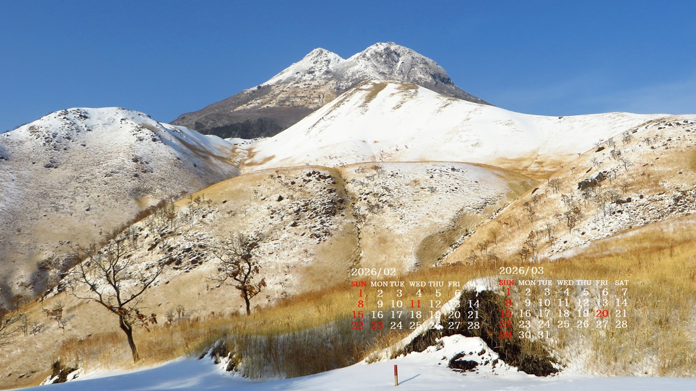 �摜�̏�ŉE�N���b�N���āu�ǎ��ɐݒ�v�A���j���[�ɂȂ��ꍇ�͂�������摜��ۑ����ĉ������B