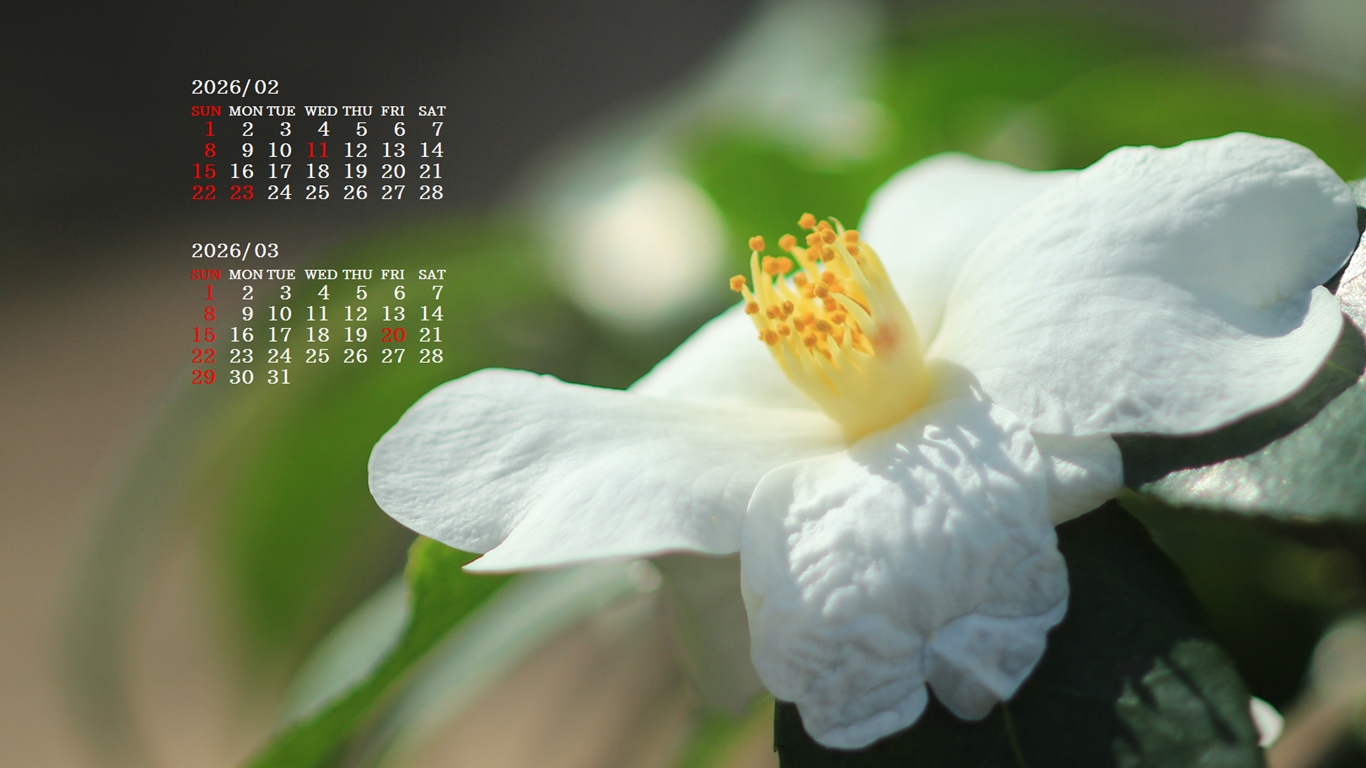 �摜�̏�ŉE�N���b�N���āu�ǎ��ɐݒ�v�A���j���[�ɂȂ��ꍇ�͂�������摜��ۑ����ĉ������B