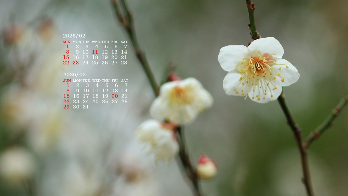 �摜�̏�ŉE�N���b�N���āu�ǎ��ɐݒ�v�A���j���[�ɂȂ��ꍇ�͂�������摜��ۑ����ĉ������B