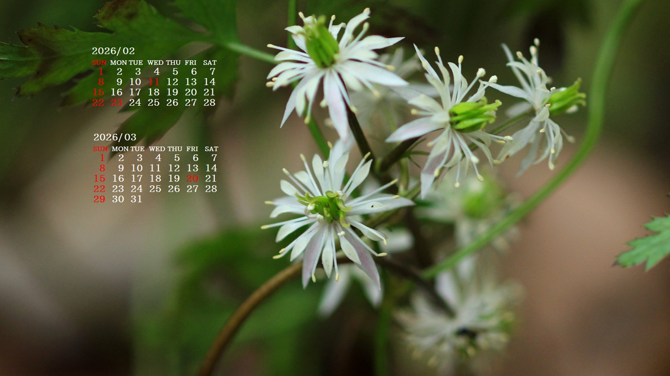 �摜�̏�ŉE�N���b�N���āu�ǎ��ɐݒ�v�A���j���[�ɂȂ��ꍇ�͂�������摜��ۑ����ĉ������B