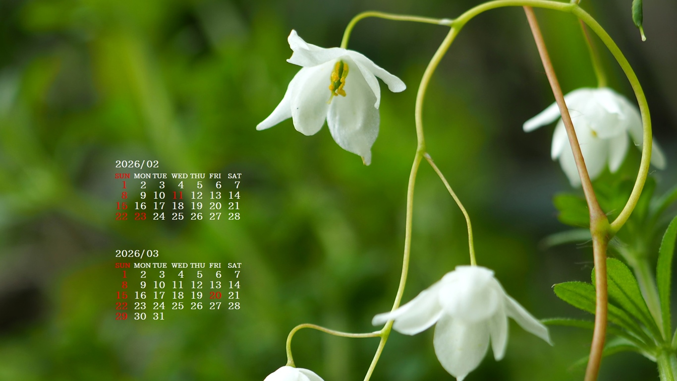 �摜�̏�ŉE�N���b�N���āu�ǎ��ɐݒ�v�A���j���[�ɂȂ��ꍇ�͂�������摜��ۑ����ĉ������B