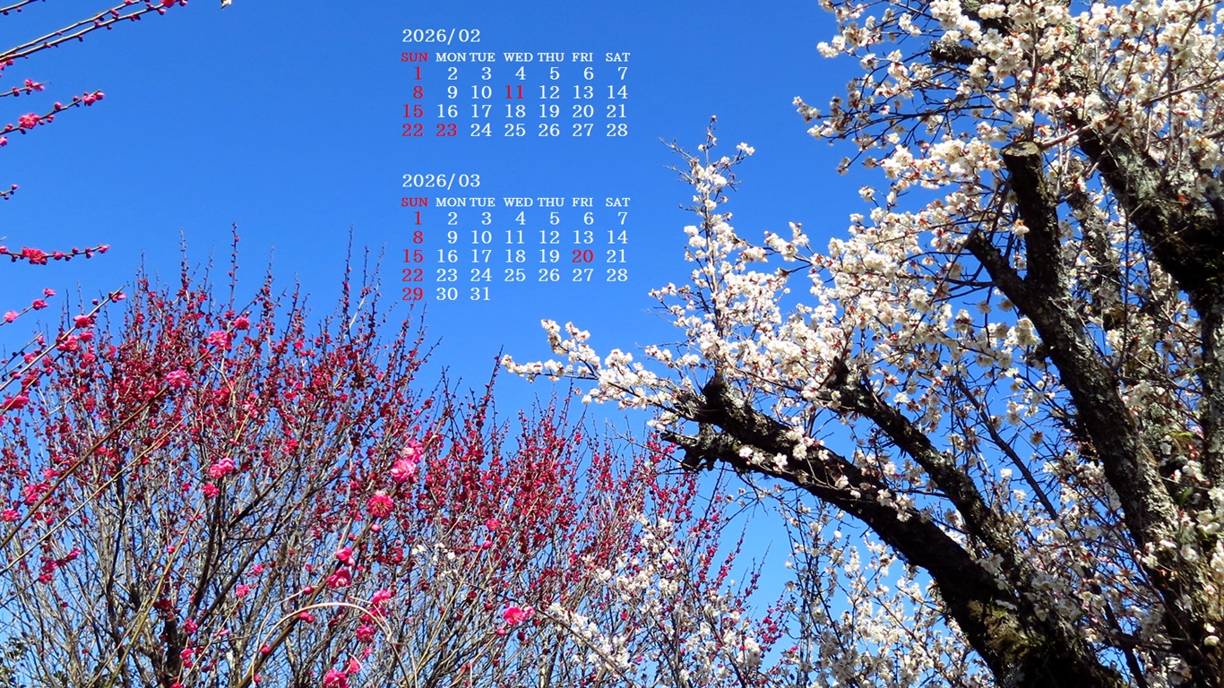 �摜�̏�ŉE�N���b�N���āu�ǎ��ɐݒ�v�A���j���[�ɂȂ��ꍇ�͂�������摜��ۑ����ĉ������B