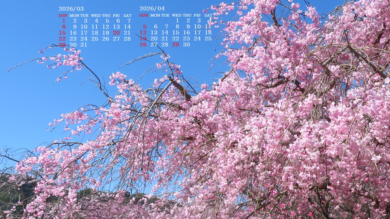 �摜�̏�ŉE�N���b�N���āu�ǎ��ɐݒ�v�A���j���[�ɂȂ��ꍇ�͂�������摜��ۑ����ĉ������B