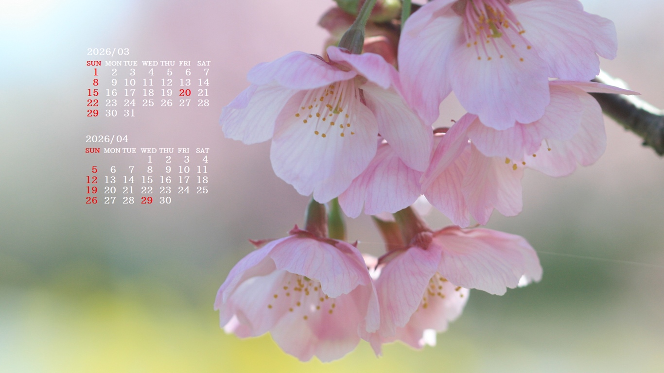 �摜�̏�ŉE�N���b�N���āu�ǎ��ɐݒ�v�A���j���[�ɂȂ��ꍇ�͂�������摜��ۑ����ĉ������B