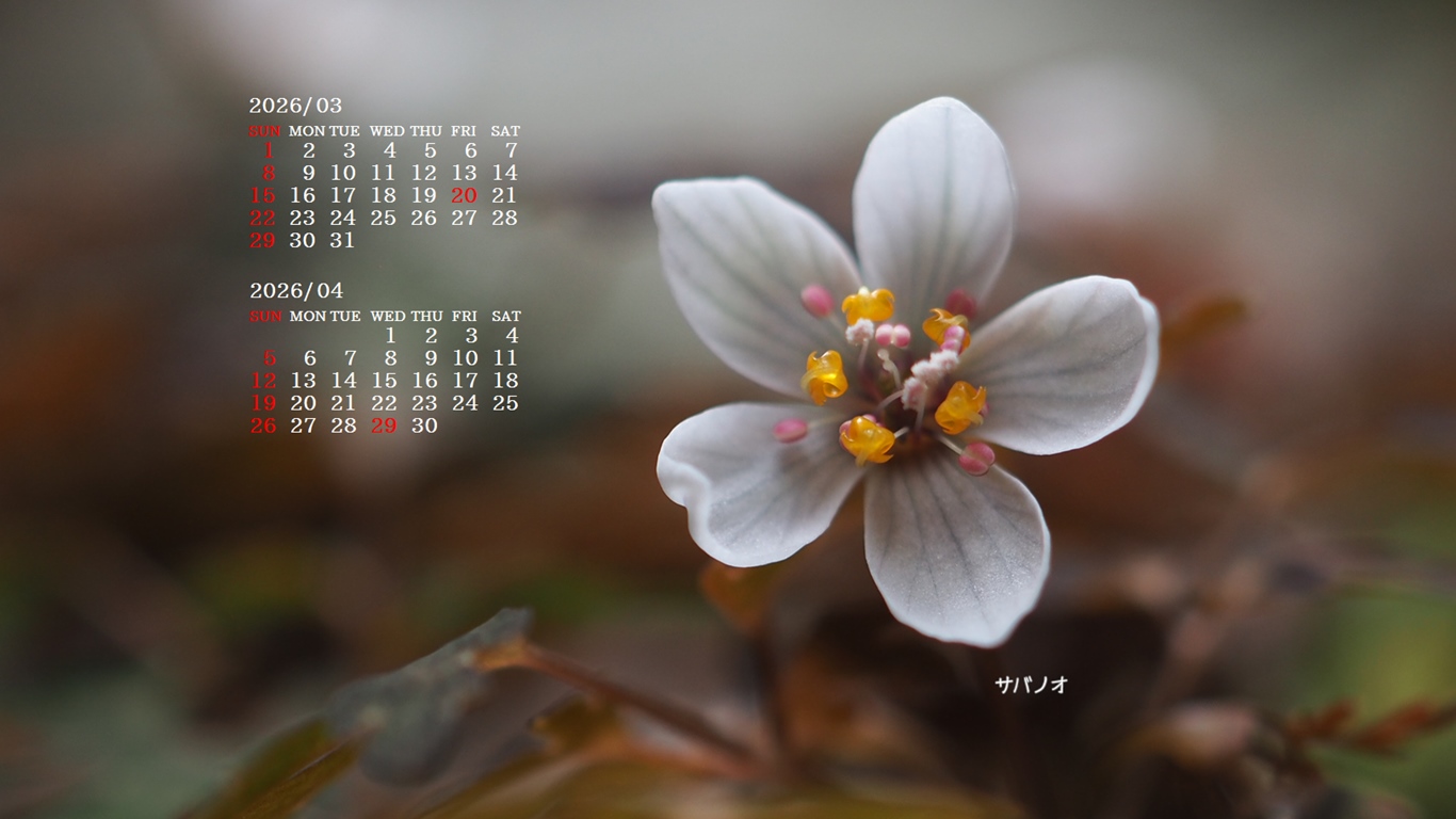 �摜�̏�ŉE�N���b�N���āu�ǎ��ɐݒ�v�A���j���[�ɂȂ��ꍇ�͂�������摜��ۑ����ĉ������B