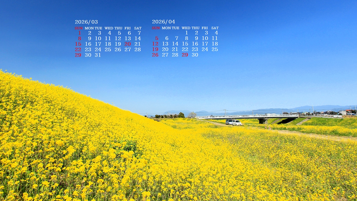 �摜�̏�ŉE�N���b�N���āu�ǎ��ɐݒ�v�A���j���[�ɂȂ��ꍇ�͂�������摜��ۑ����ĉ������B