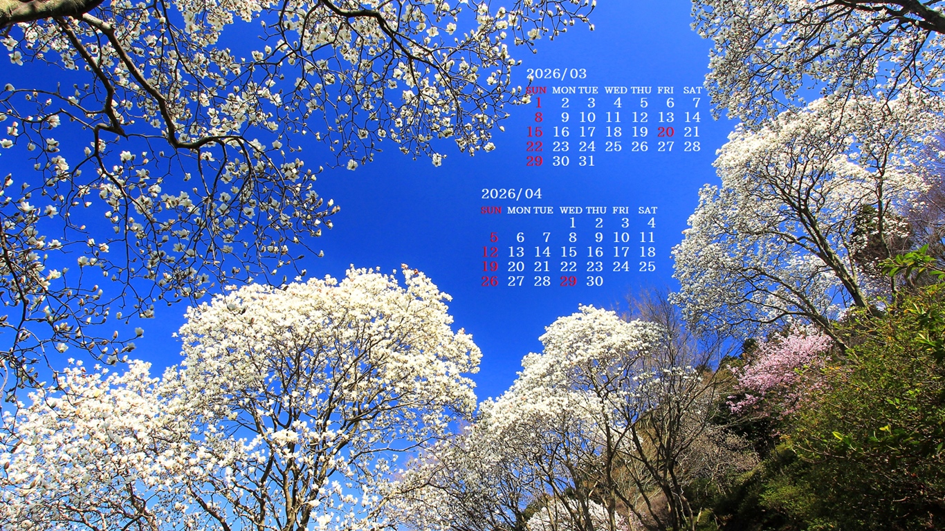 �摜�̏�ŉE�N���b�N���āu�ǎ��ɐݒ�v�A���j���[�ɂȂ��ꍇ�͂�������摜��ۑ����ĉ������B