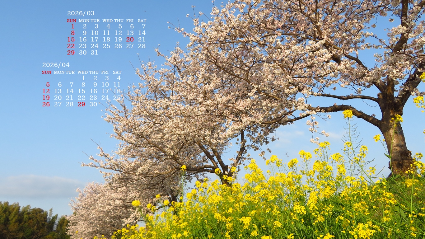 �摜�̏�ŉE�N���b�N���āu�ǎ��ɐݒ�v�A���j���[�ɂȂ��ꍇ�͂�������摜��ۑ����ĉ������B