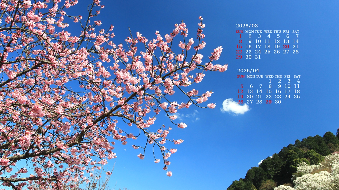 �摜�̏�ŉE�N���b�N���āu�ǎ��ɐݒ�v�A���j���[�ɂȂ��ꍇ�͂�������摜��ۑ����ĉ������B