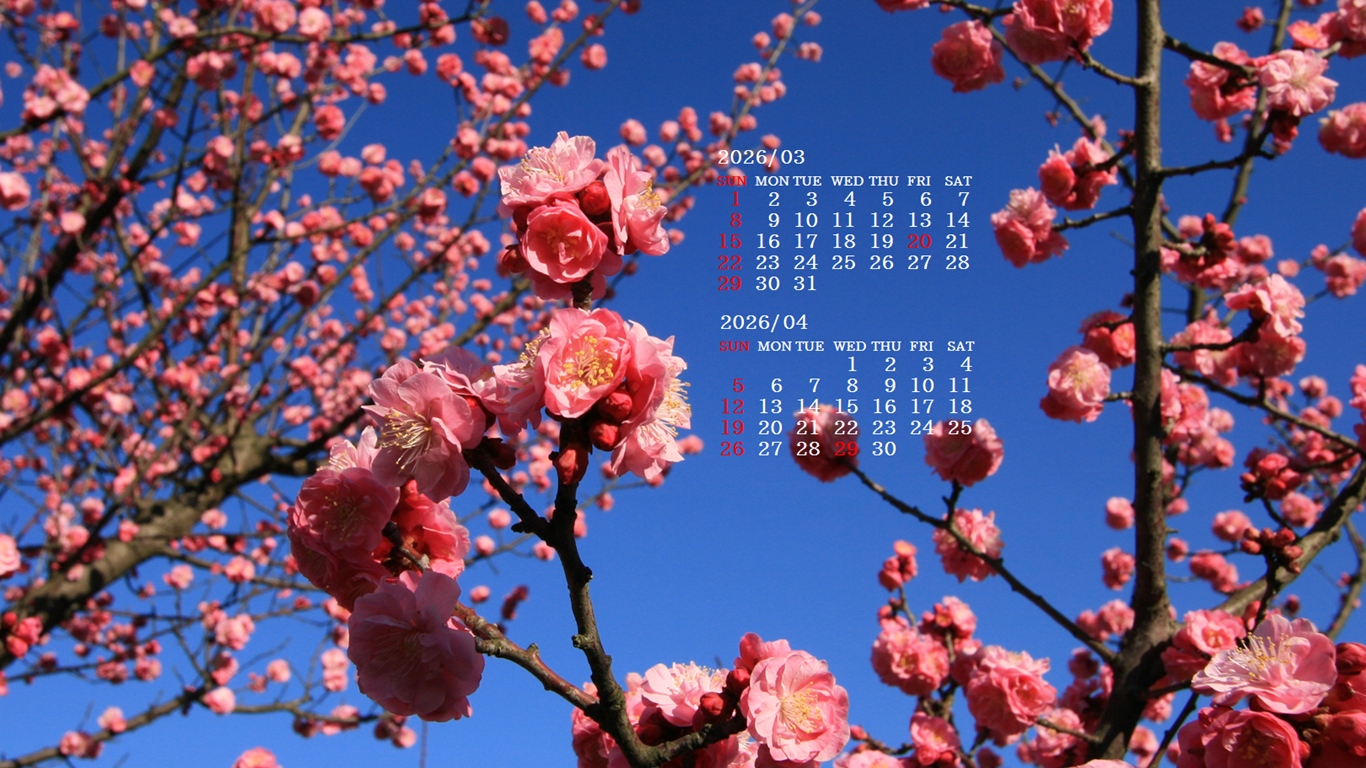 �摜�̏�ŉE�N���b�N���āu�ǎ��ɐݒ�v�A���j���[�ɂȂ��ꍇ�͂�������摜��ۑ����ĉ������B