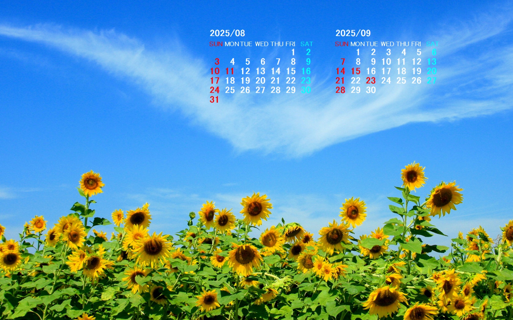 摜̏ŉENbNāuǎɐݒvAj[ɂȂꍇ͂摜ۑĉB