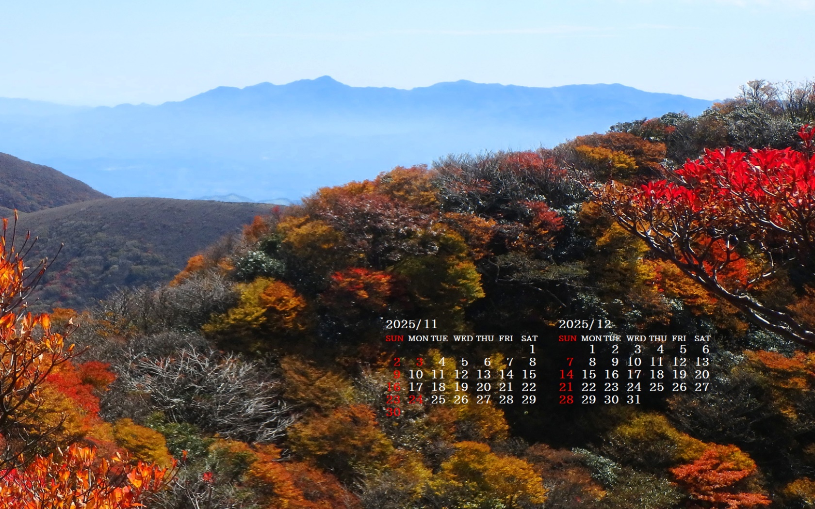 摜̏ŉENbNāuǎɐݒvAj[ɂȂꍇ͂摜ۑĉB