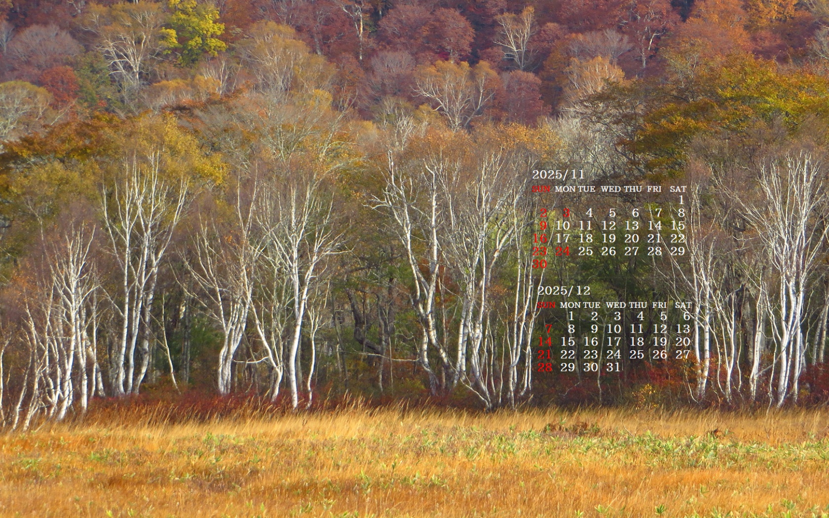 摜̏ŉENbNāuǎɐݒvAj[ɂȂꍇ͂摜ۑĉB