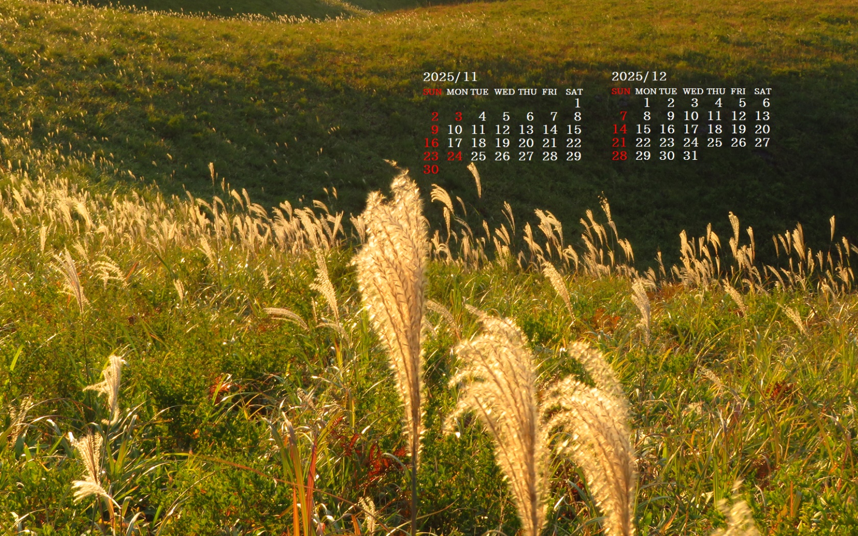 摜̏ŉENbNāuǎɐݒvAj[ɂȂꍇ͂摜ۑĉB