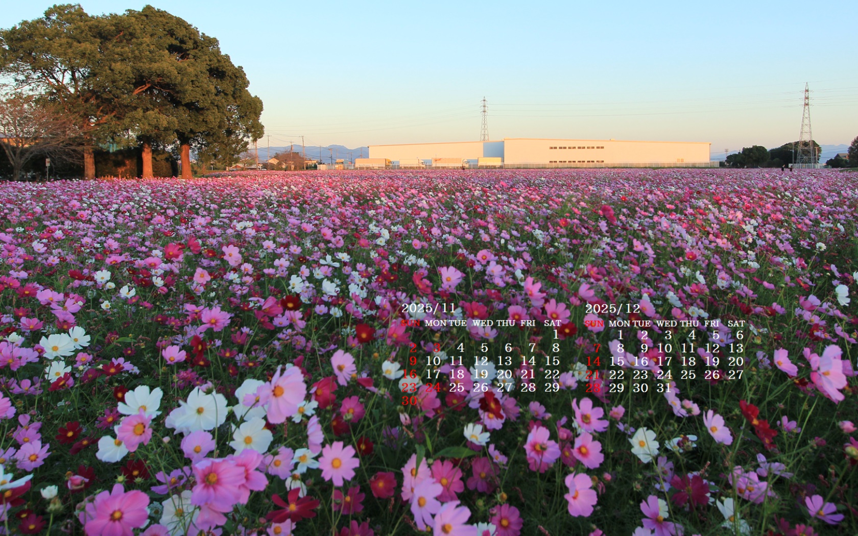 摜̏ŉENbNāuǎɐݒvAj[ɂȂꍇ͂摜ۑĉB