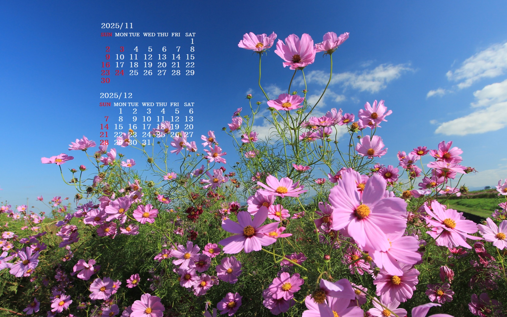 摜̏ŉENbNāuǎɐݒvAj[ɂȂꍇ͂摜ۑĉB