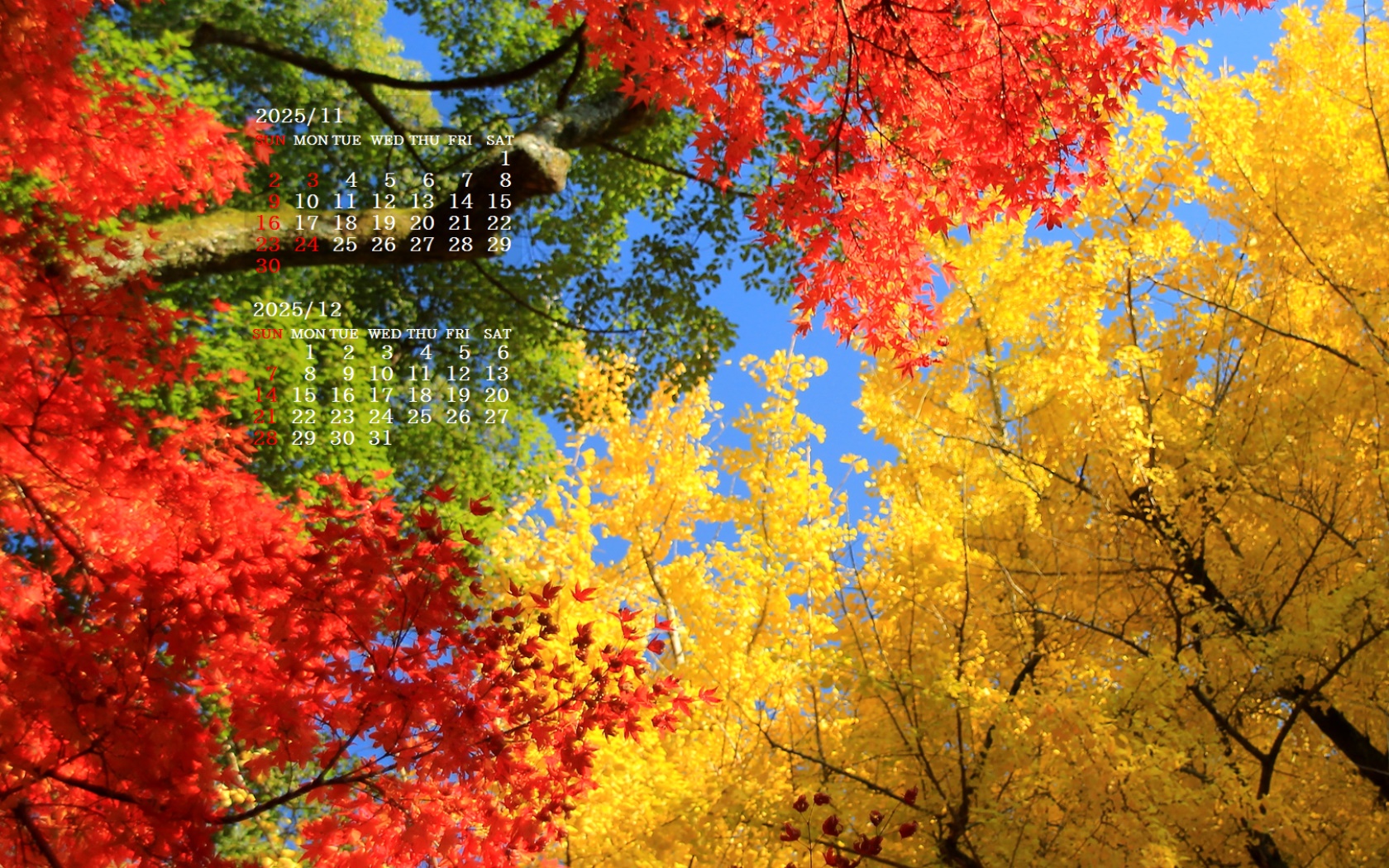 摜̏ŉENbNāuǎɐݒvAj[ɂȂꍇ͂摜ۑĉB