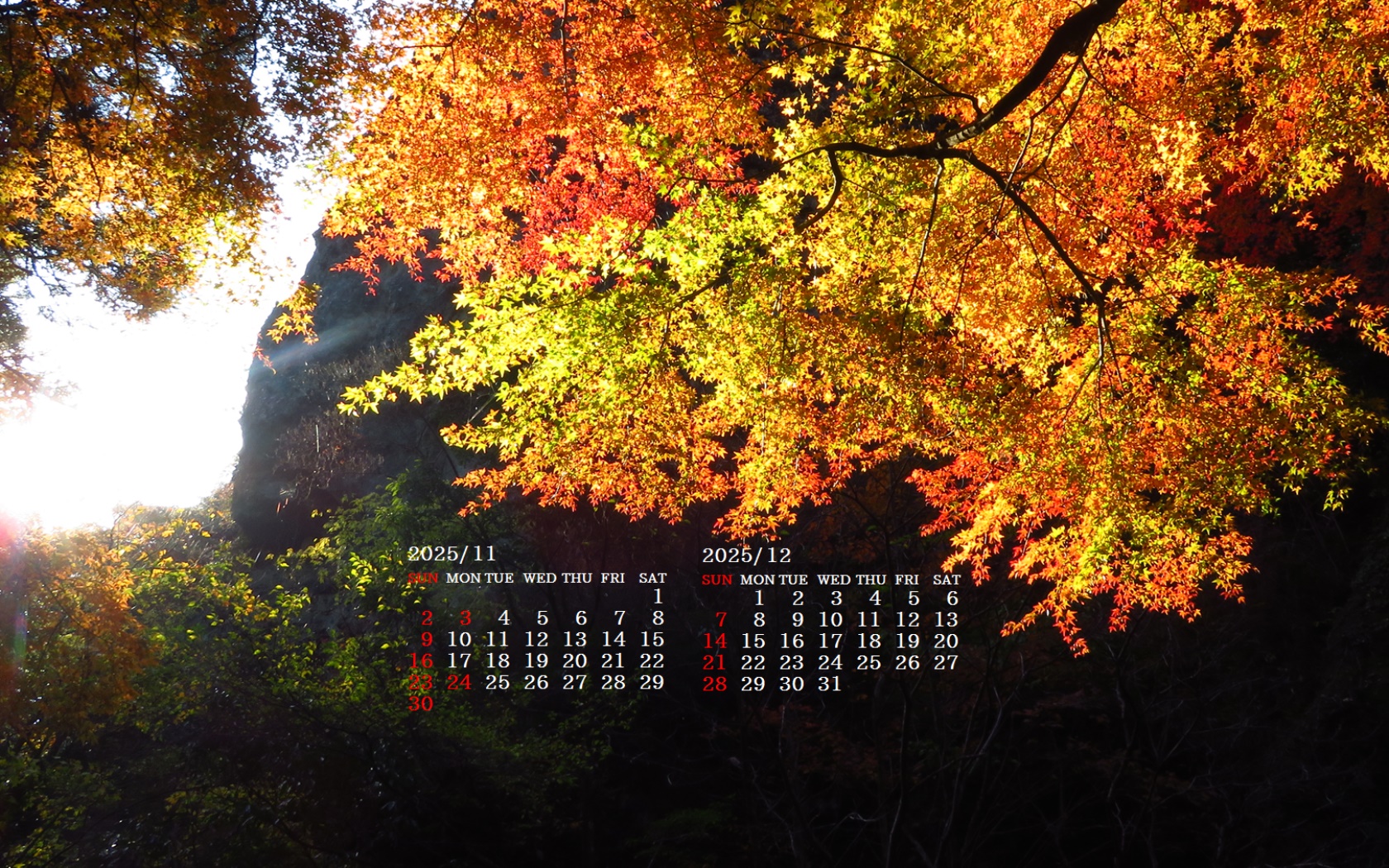 摜̏ŉENbNāuǎɐݒvAj[ɂȂꍇ͂摜ۑĉB