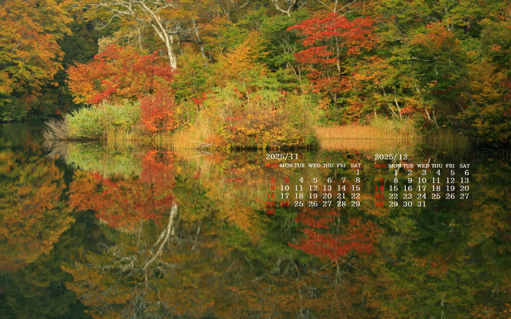 摜̏ŉENbNāuǎɐݒvAj[ɂȂꍇ͂摜ۑĉB