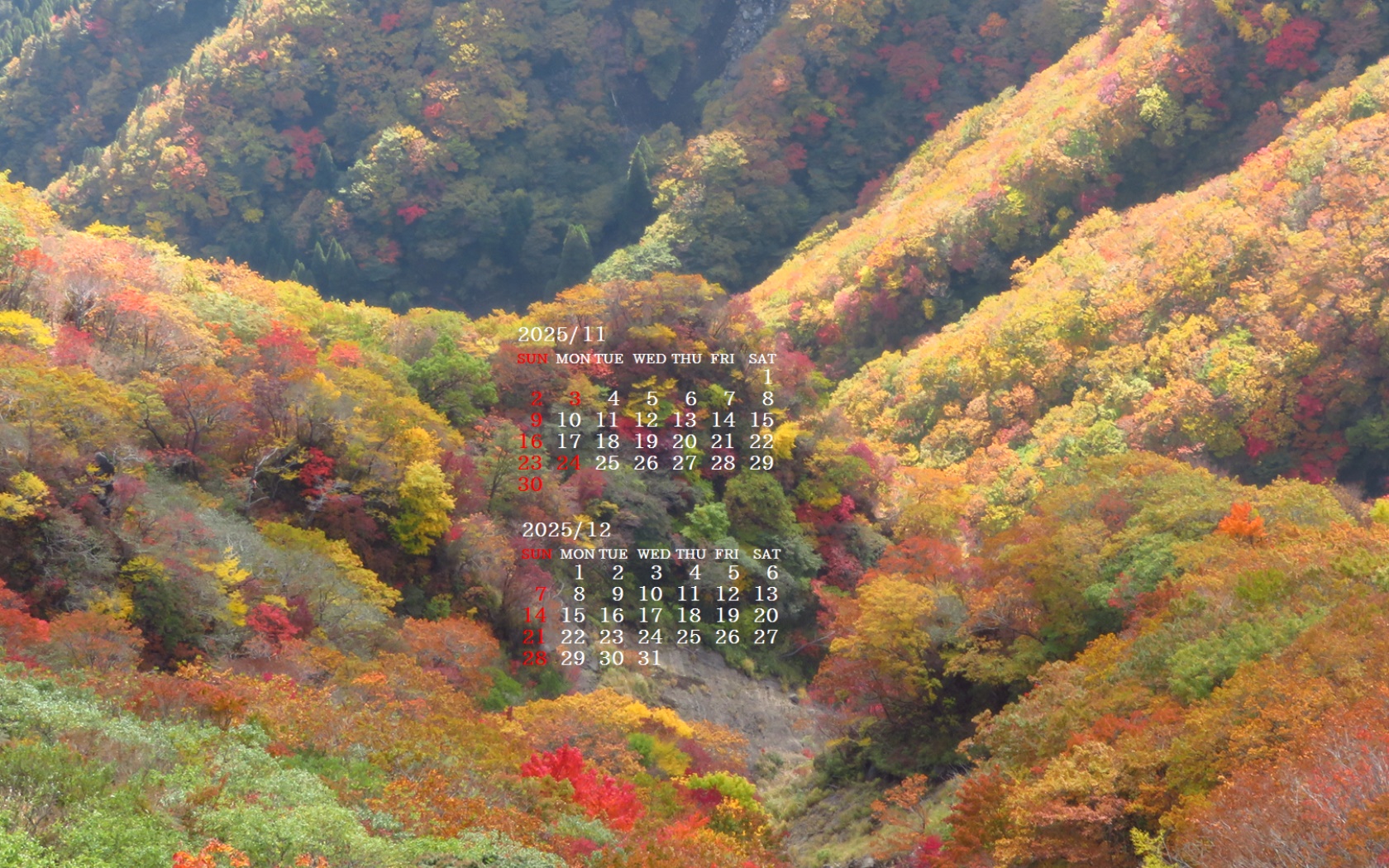 摜̏ŉENbNāuǎɐݒvAj[ɂȂꍇ͂摜ۑĉB