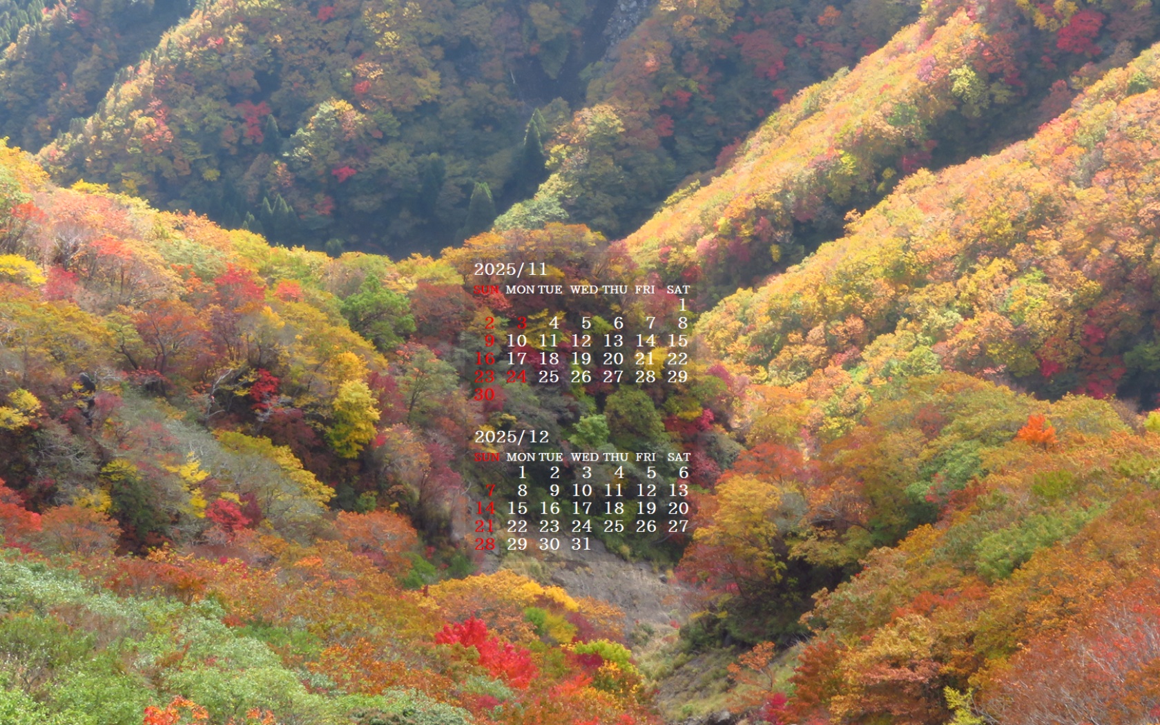 摜̏ŉENbNāuǎɐݒvAj[ɂȂꍇ͂摜ۑĉB