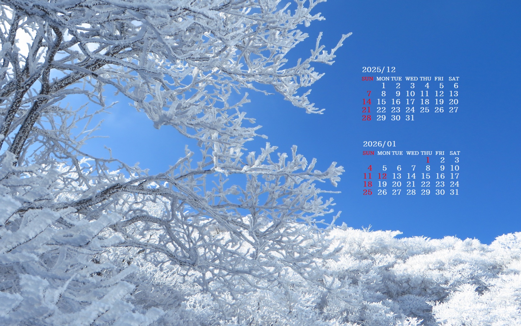 �摜�̏�ŉE�N���b�N���āu�ǎ��ɐݒ�v�A���j���[�ɂȂ��ꍇ�͂�������摜��ۑ����ĉ������B