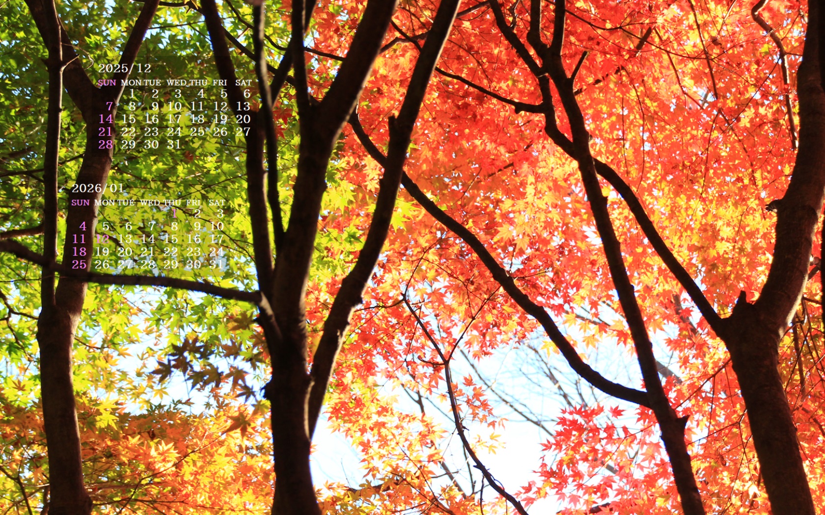 �摜�̏�ŉE�N���b�N���āu�ǎ��ɐݒ�v�A���j���[�ɂȂ��ꍇ�͂�������摜��ۑ����ĉ������B