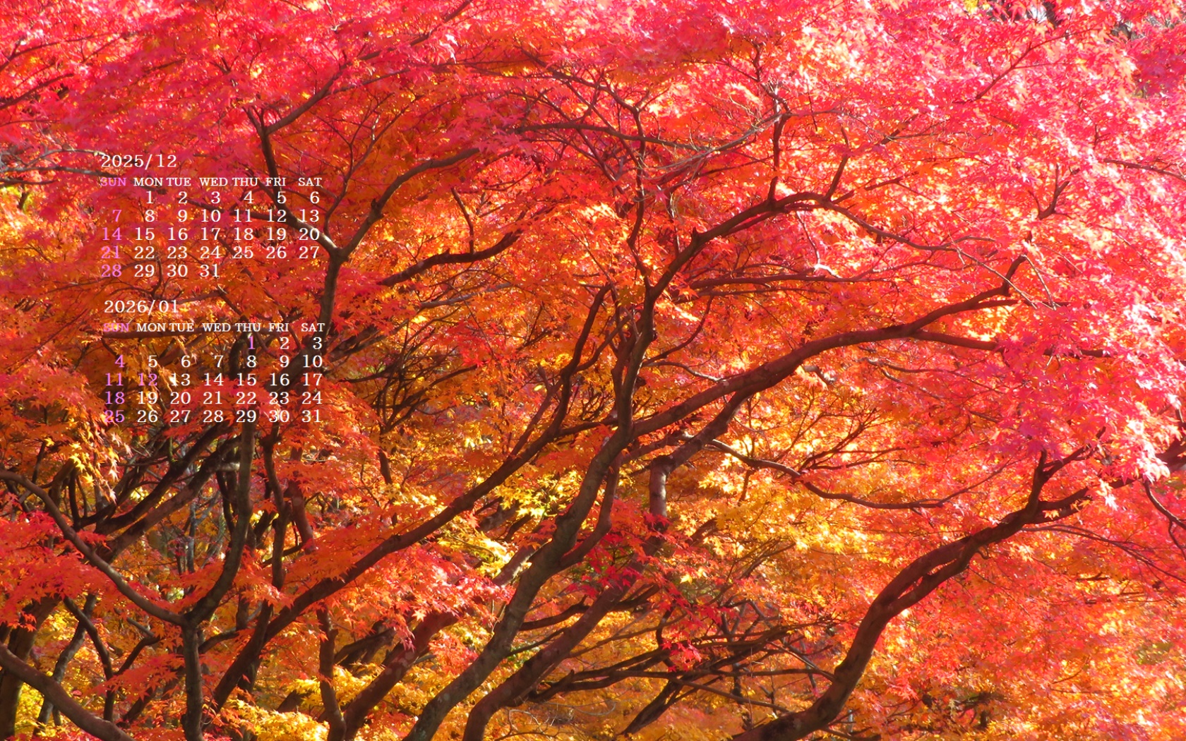 �摜�̏�ŉE�N���b�N���āu�ǎ��ɐݒ�v�A���j���[�ɂȂ��ꍇ�͂�������摜��ۑ����ĉ������B