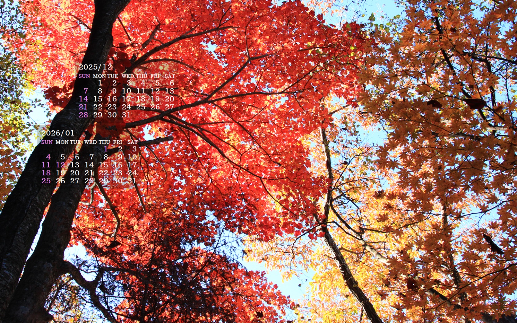 �摜�̏�ŉE�N���b�N���āu�ǎ��ɐݒ�v�A���j���[�ɂȂ��ꍇ�͂�������摜��ۑ����ĉ������B