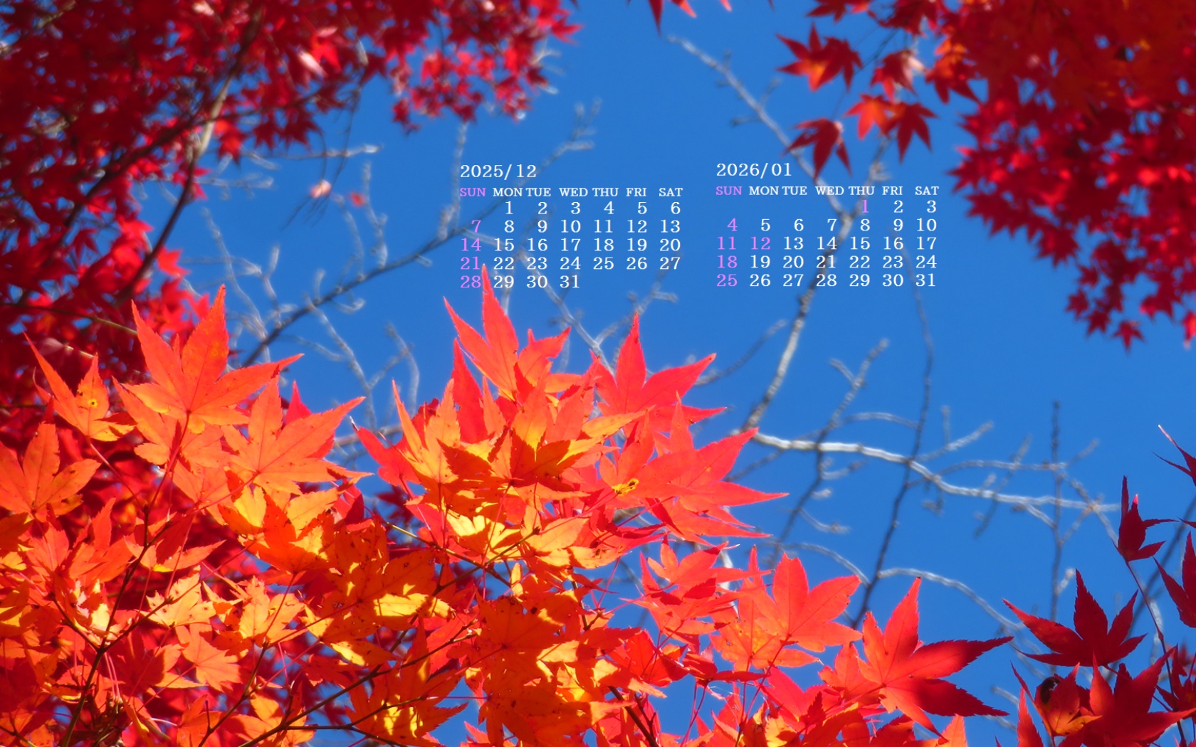 �摜�̏�ŉE�N���b�N���āu�ǎ��ɐݒ�v�A���j���[�ɂȂ��ꍇ�͂�������摜��ۑ����ĉ������B