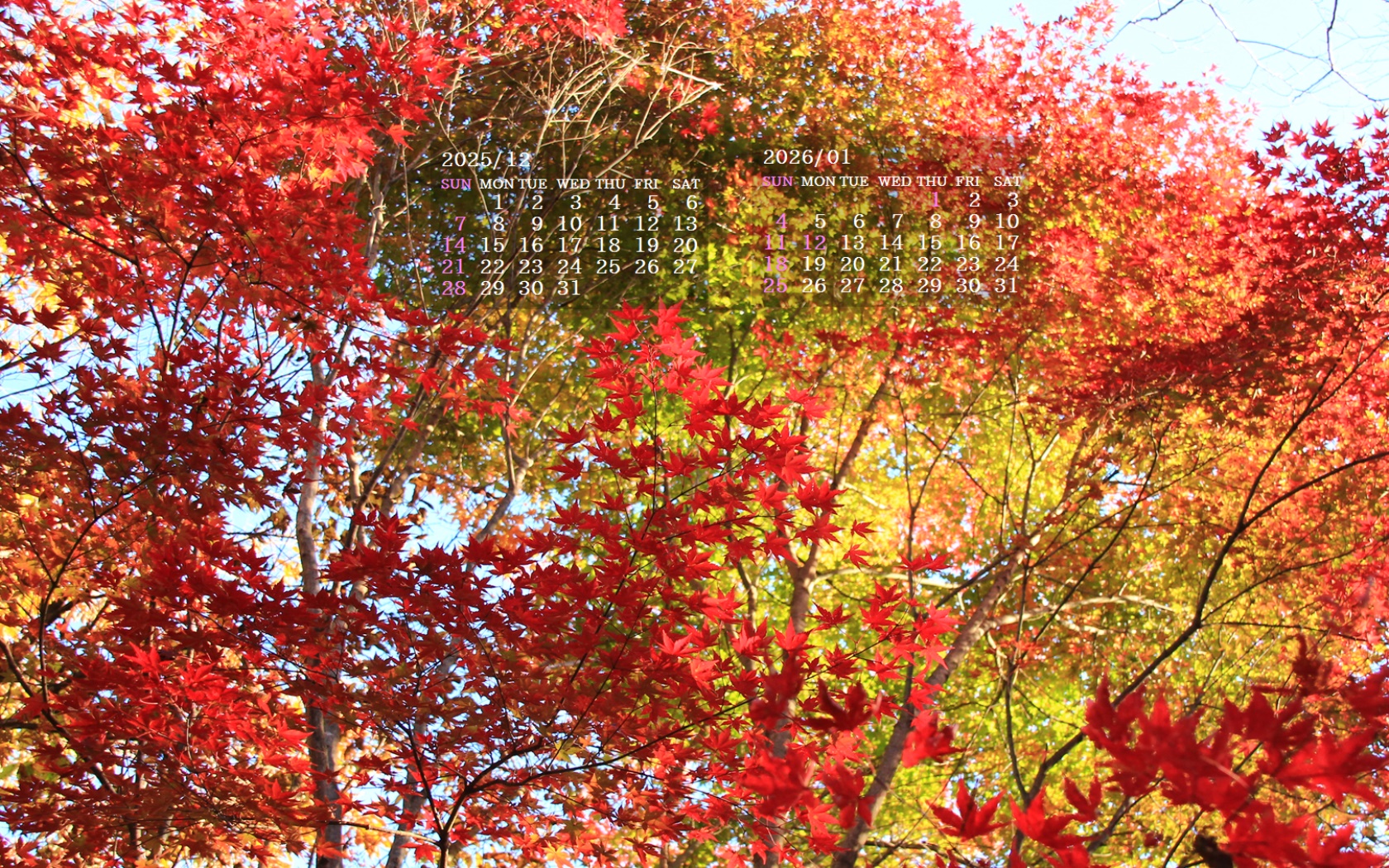 �摜�̏�ŉE�N���b�N���āu�ǎ��ɐݒ�v�A���j���[�ɂȂ��ꍇ�͂�������摜��ۑ����ĉ������B