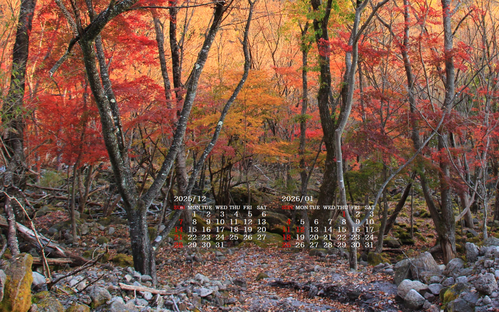 �摜�̏�ŉE�N���b�N���āu�ǎ��ɐݒ�v�A���j���[�ɂȂ��ꍇ�͂�������摜��ۑ����ĉ������B