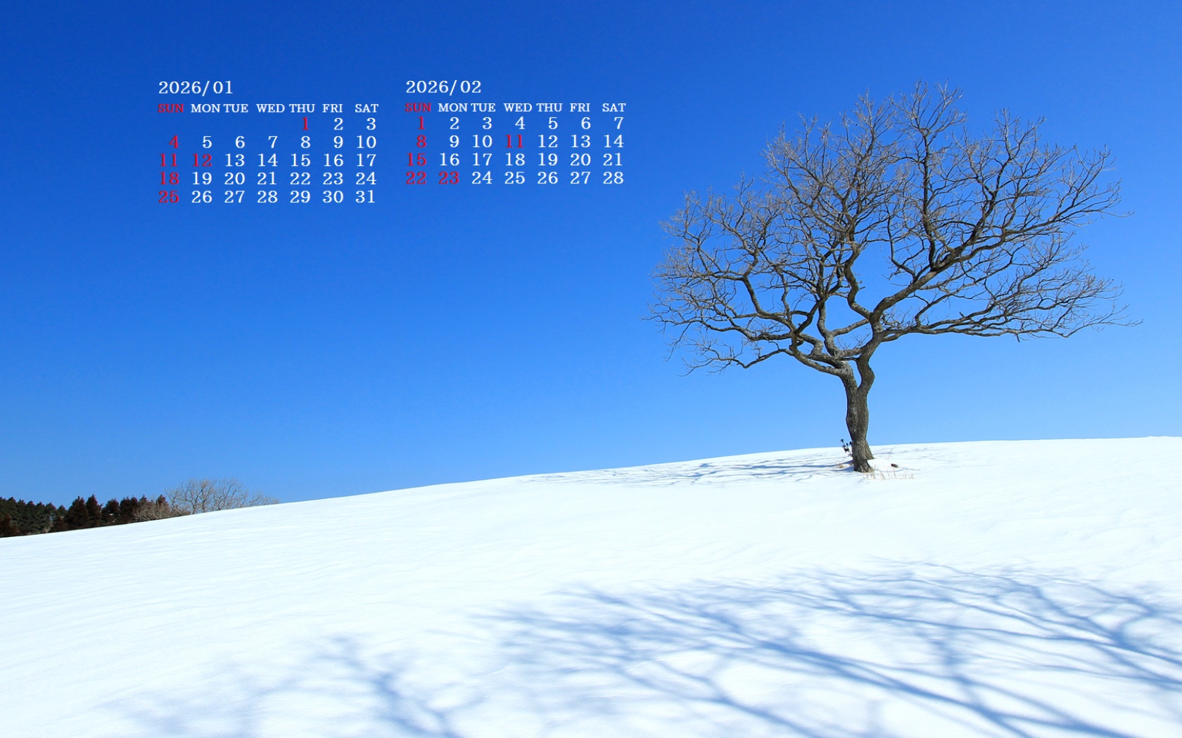 �摜�̏�ŉE�N���b�N���āu�ǎ��ɐݒ�v�A���j���[�ɂȂ��ꍇ�͂�������摜��ۑ����ĉ������B