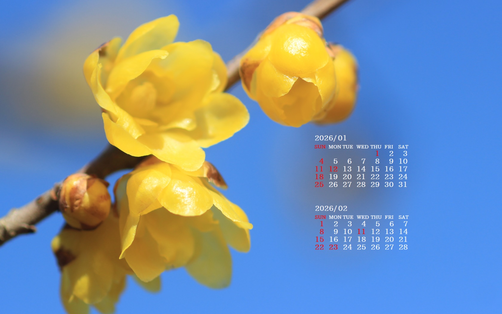 �摜�̏�ŉE�N���b�N���āu�ǎ��ɐݒ�v�A���j���[�ɂȂ��ꍇ�͂�������摜��ۑ����ĉ������B