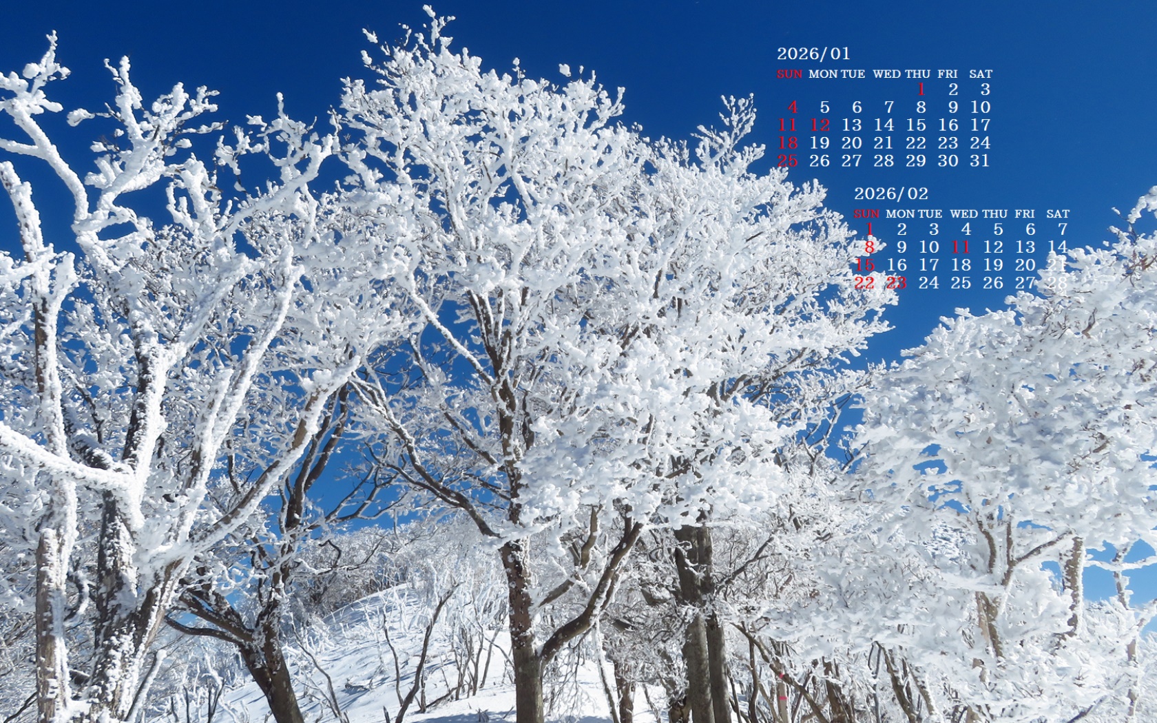 �摜�̏�ŉE�N���b�N���āu�ǎ��ɐݒ�v�A���j���[�ɂȂ��ꍇ�͂�������摜��ۑ����ĉ������B