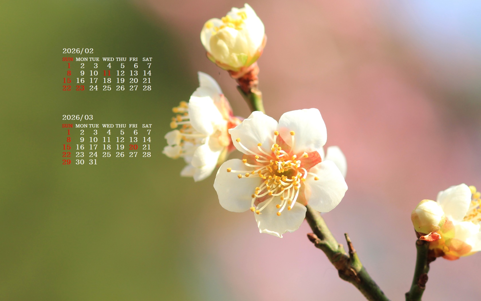 �摜�̏�ŉE�N���b�N���āu�ǎ��ɐݒ�v�A���j���[�ɂȂ��ꍇ�͂�������摜��ۑ����ĉ������B