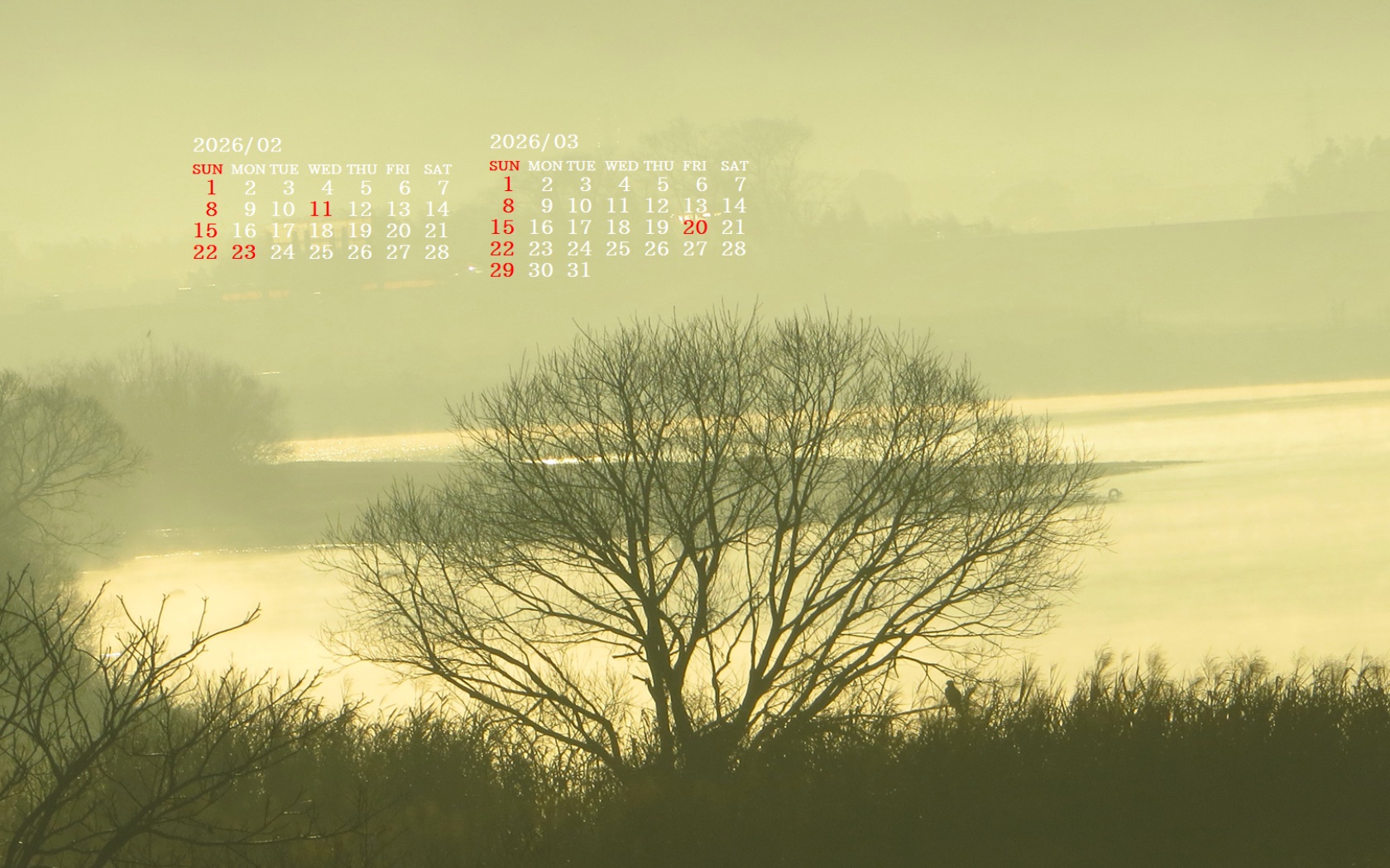 �摜�̏�ŉE�N���b�N���āu�ǎ��ɐݒ�v�A���j���[�ɂȂ��ꍇ�͂�������摜��ۑ����ĉ������B