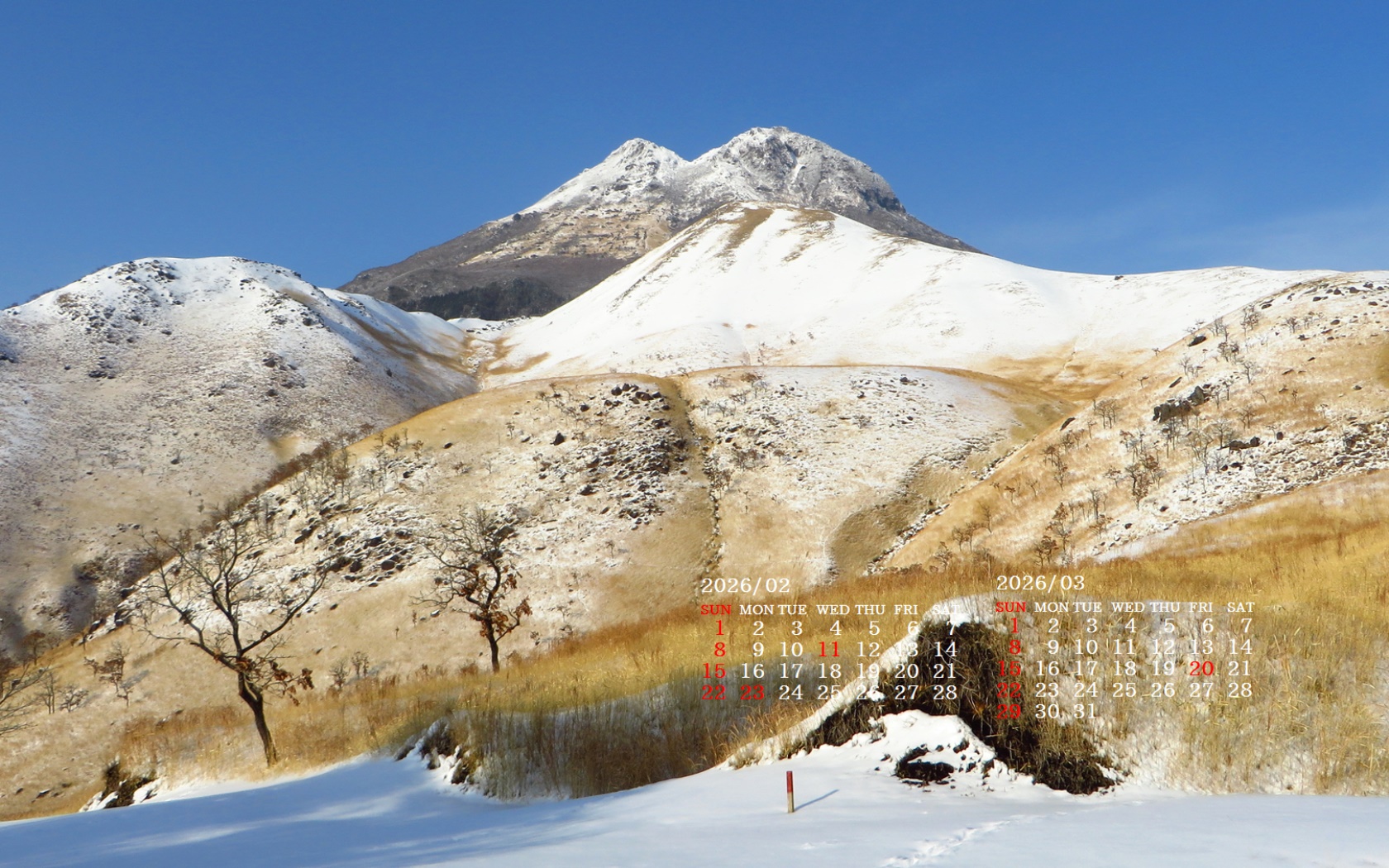 �摜�̏�ŉE�N���b�N���āu�ǎ��ɐݒ�v�A���j���[�ɂȂ��ꍇ�͂�������摜��ۑ����ĉ������B