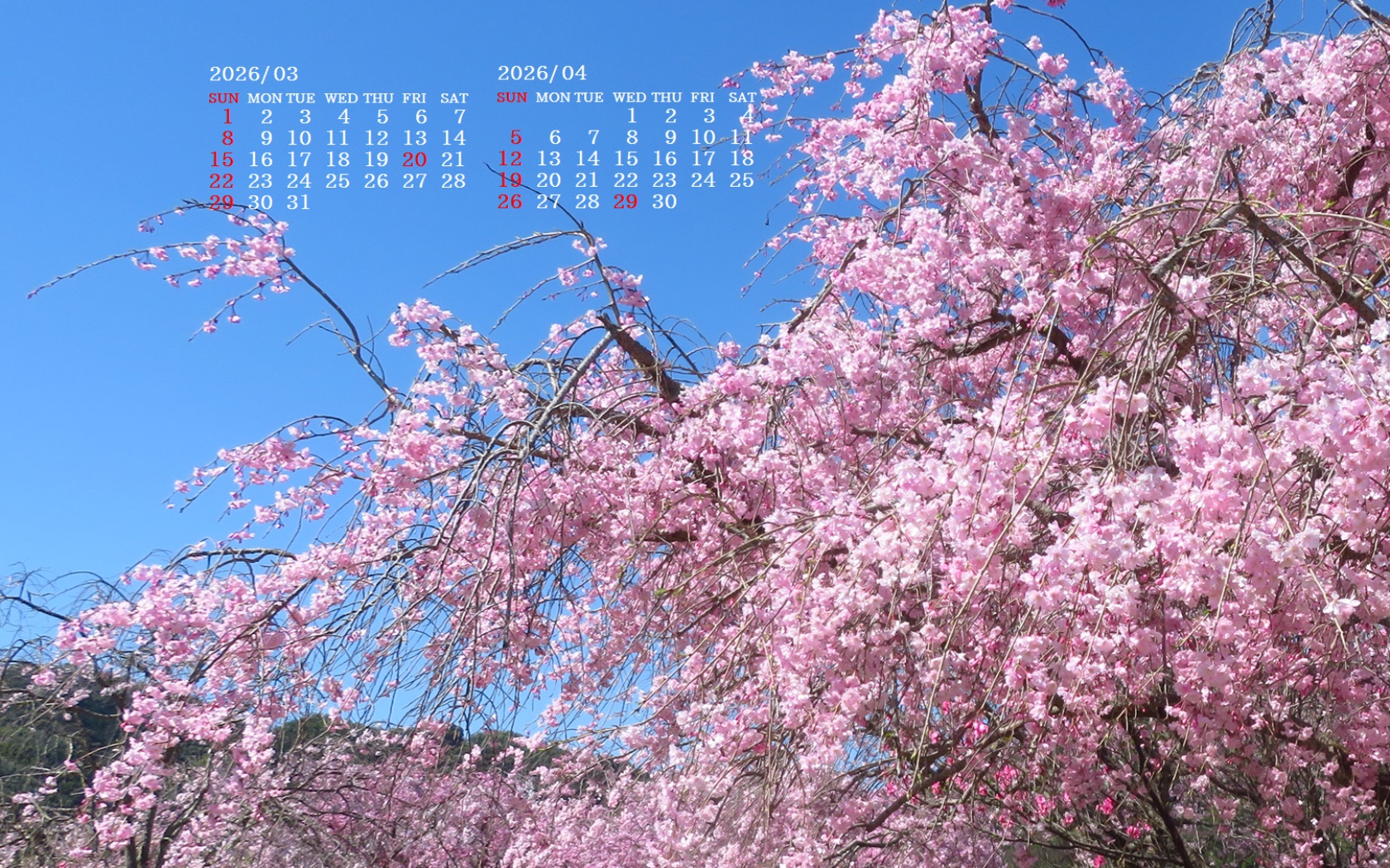 �摜�̏�ŉE�N���b�N���āu�ǎ��ɐݒ�v�A���j���[�ɂȂ��ꍇ�͂�������摜��ۑ����ĉ������B