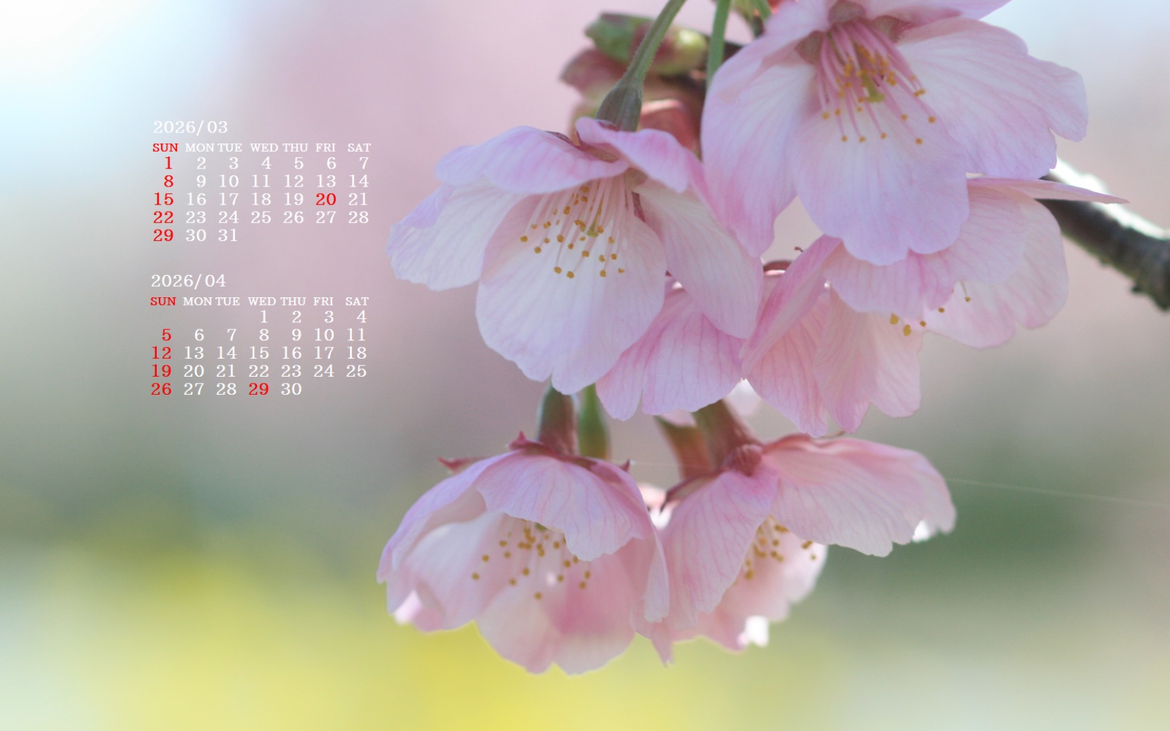 �摜�̏�ŉE�N���b�N���āu�ǎ��ɐݒ�v�A���j���[�ɂȂ��ꍇ�͂�������摜��ۑ����ĉ������B