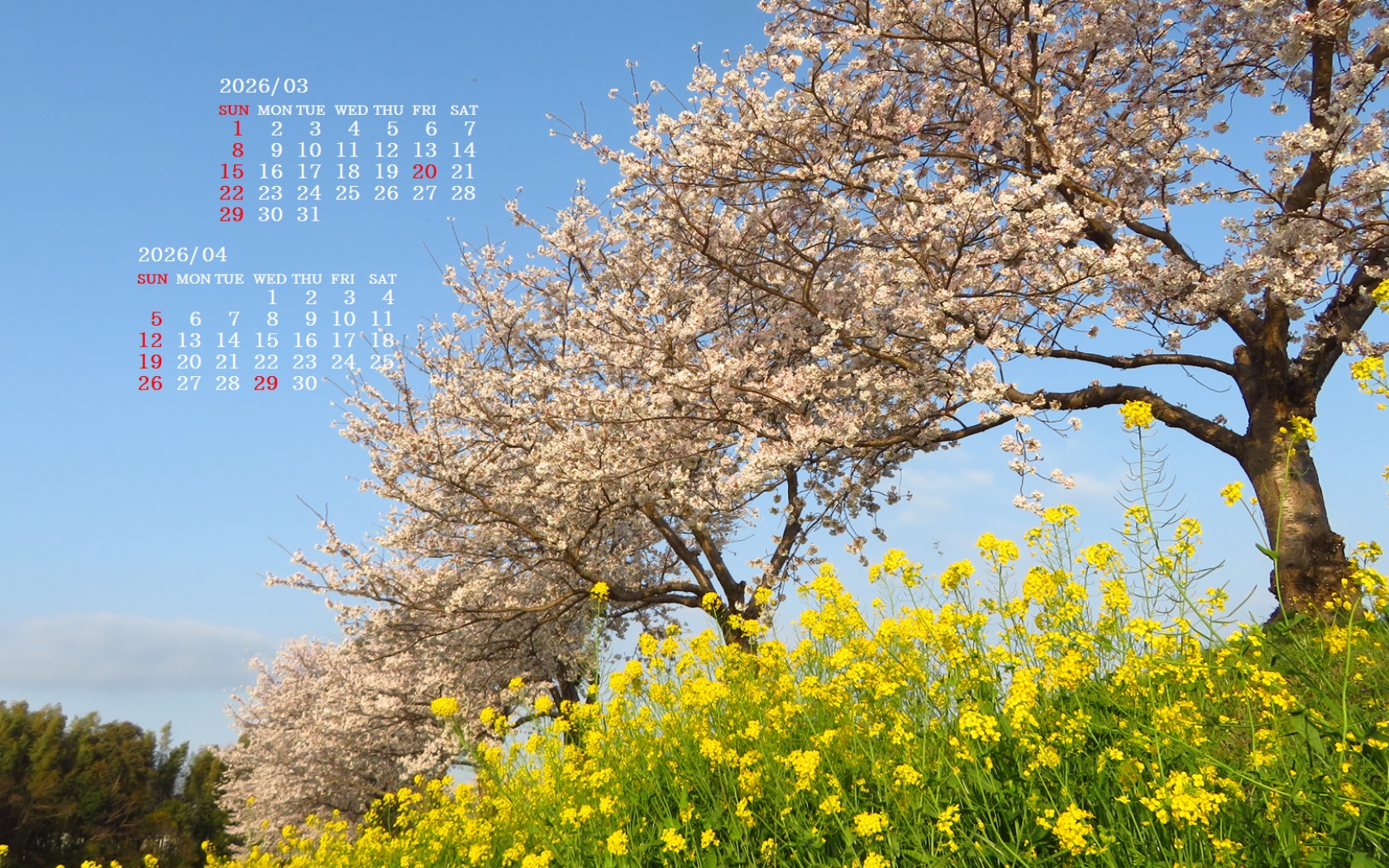 �摜�̏�ŉE�N���b�N���āu�ǎ��ɐݒ�v�A���j���[�ɂȂ��ꍇ�͂�������摜��ۑ����ĉ������B